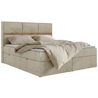 BOXSPRINGBETT ORVO 160/200 - Beige Velvet - Topper T25 - H4 - Beige/Schwarz, Kunststoff/Textil (160/200cm) - MKS