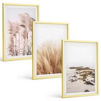 BILDER SET 3er Set - 40x60 cm Goldrahmen - Pampasgrasfelder und ein Boho-Strand - Goldfarben, Kunststoff (40/60cm) - TULUP