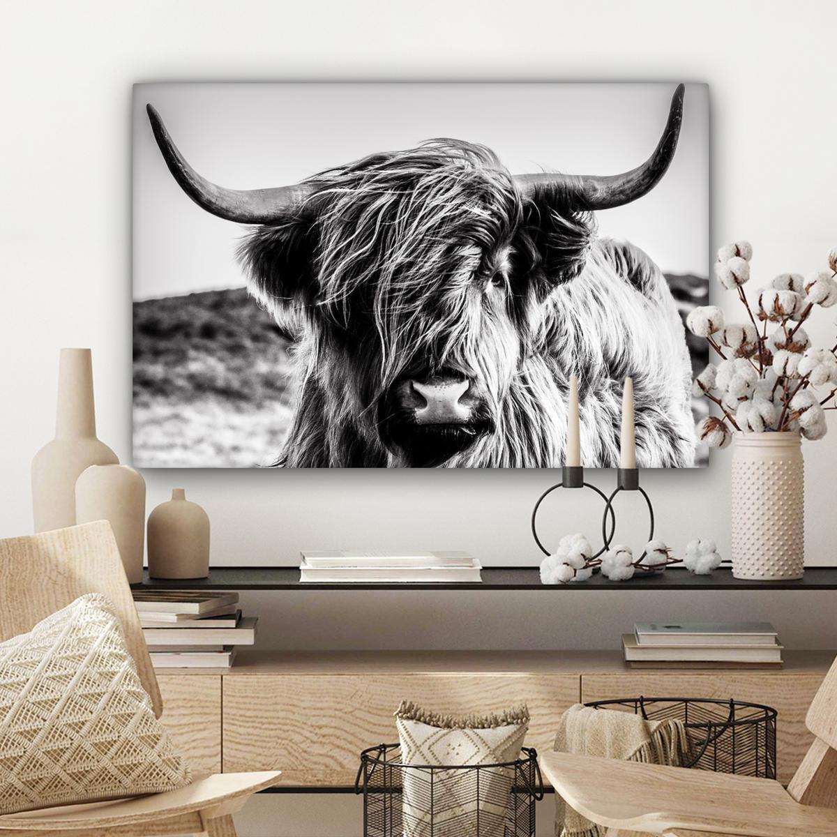 LEINWANDBILD Kuh - Schottischer Hochländer - Schwarz - Weiß - Tier - Natur - Wildtiere Gemälde 60x40 cm - Schwarz, Textil (60/40cm) - MuchoWow