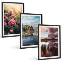 BILDER SET 3er Set - 40x60 cm Schwarzer Rahmen - Blumengarten Berge Wasser - Schwarz, Kunststoff (40/60cm) - TULUP
