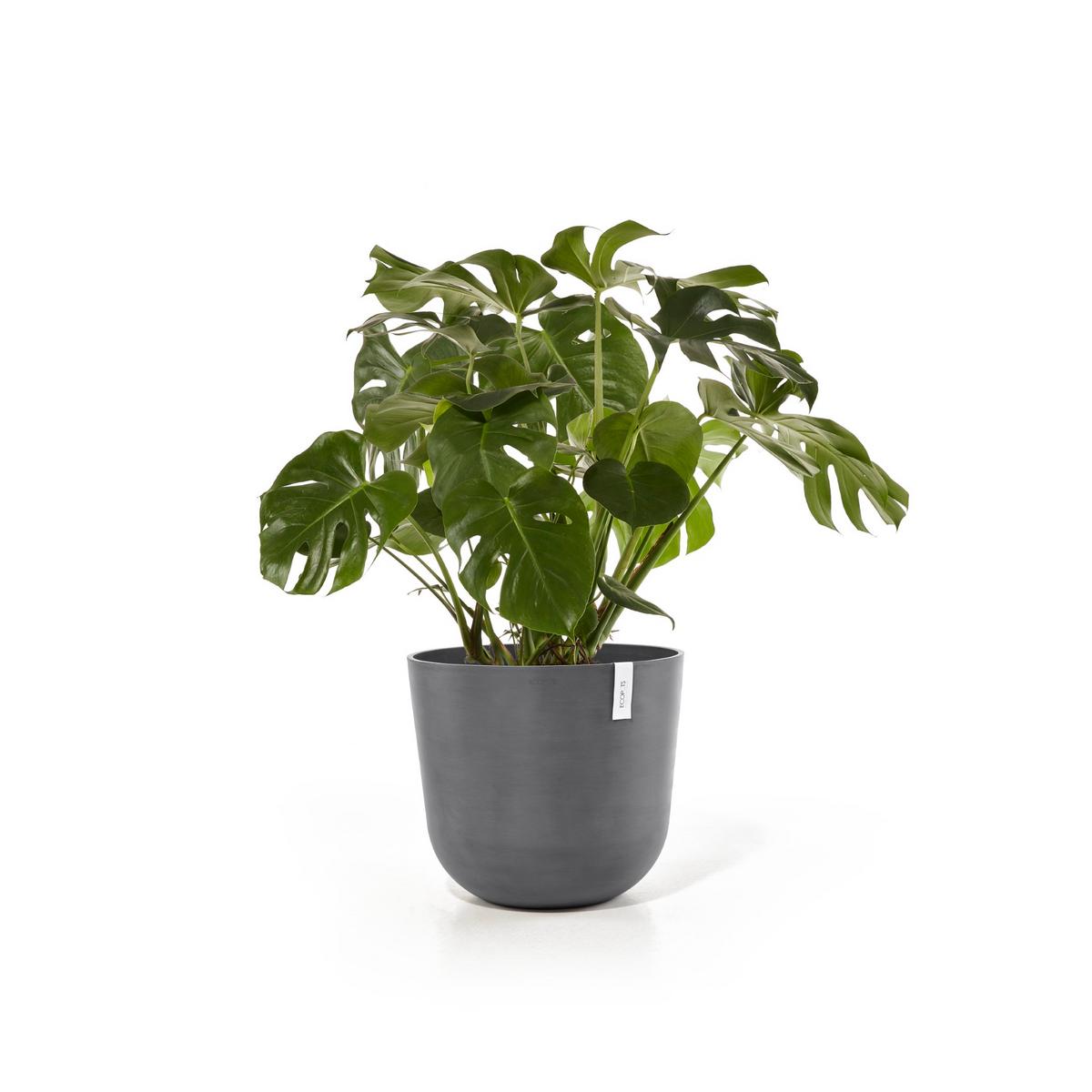 BLUMENTOPF mit Wasserreservoir Oslo 55/48,5 cm Grau - Grau, Kunststoff (55/48.5cm) - Ecopots