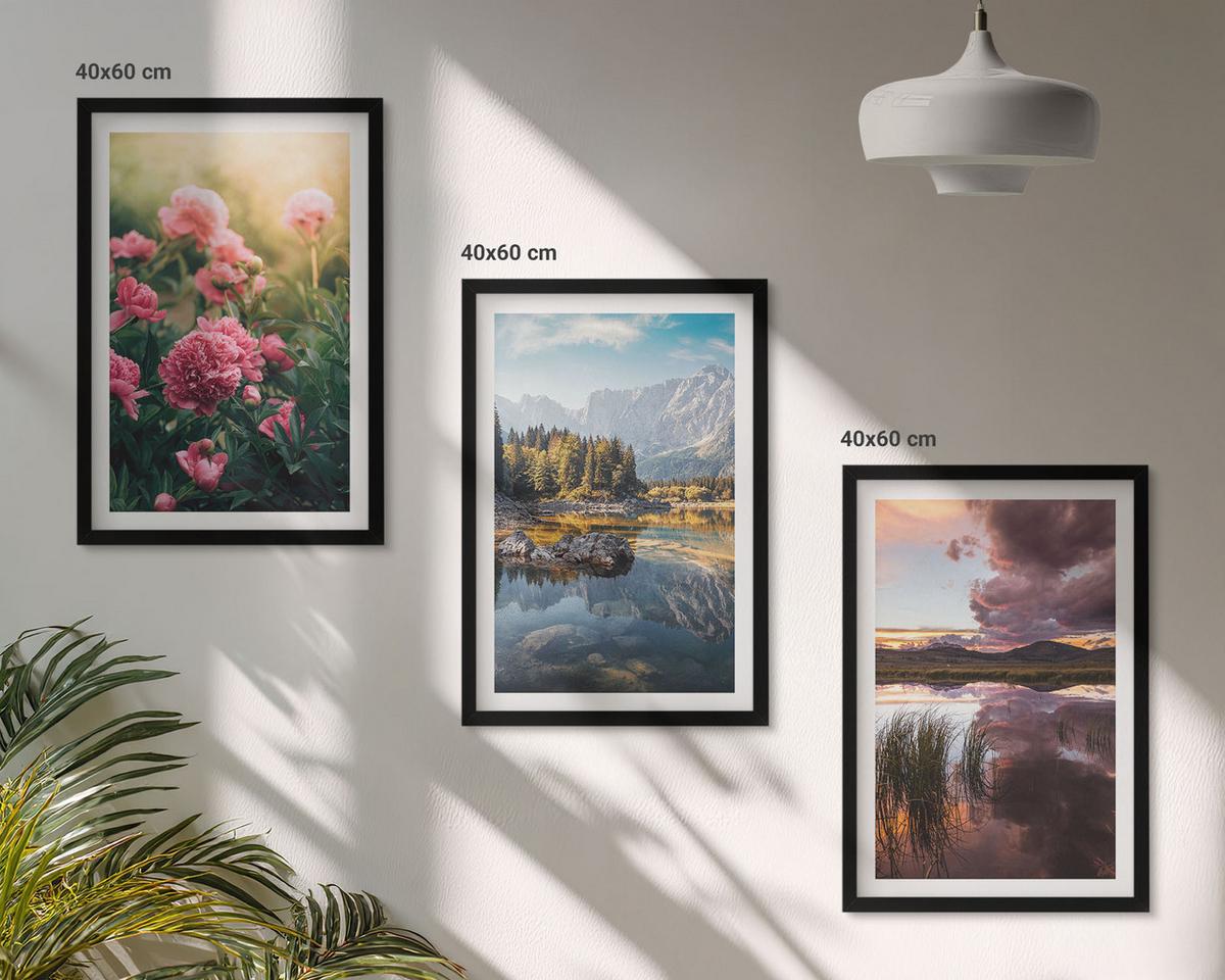 BILDER SET 3er Set - 40x60 cm Schwarzer Rahmen - Blumengarten Berge Wasser - Schwarz, Kunststoff (40/60cm) - TULUP