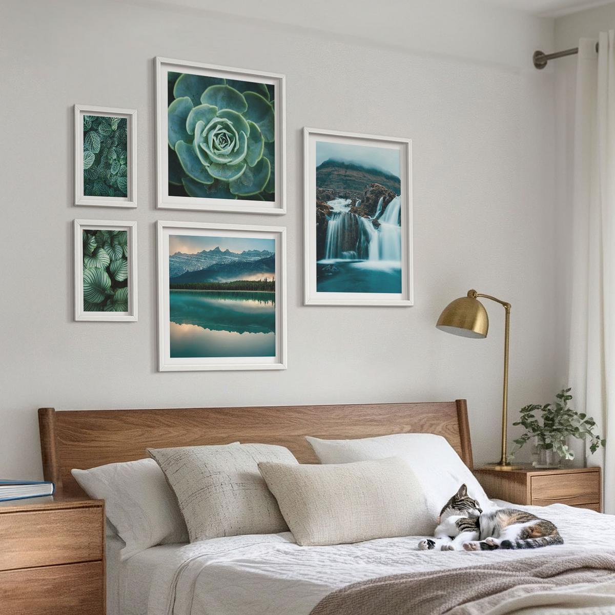BILDER SET 5er Set - 50x50 cm & 20x30 cm & 40x60 cm Weißer Rahmen - Sukkulenten in Grün und Türkis - Weiß, Kunststoff (40/60cm) - TULUP