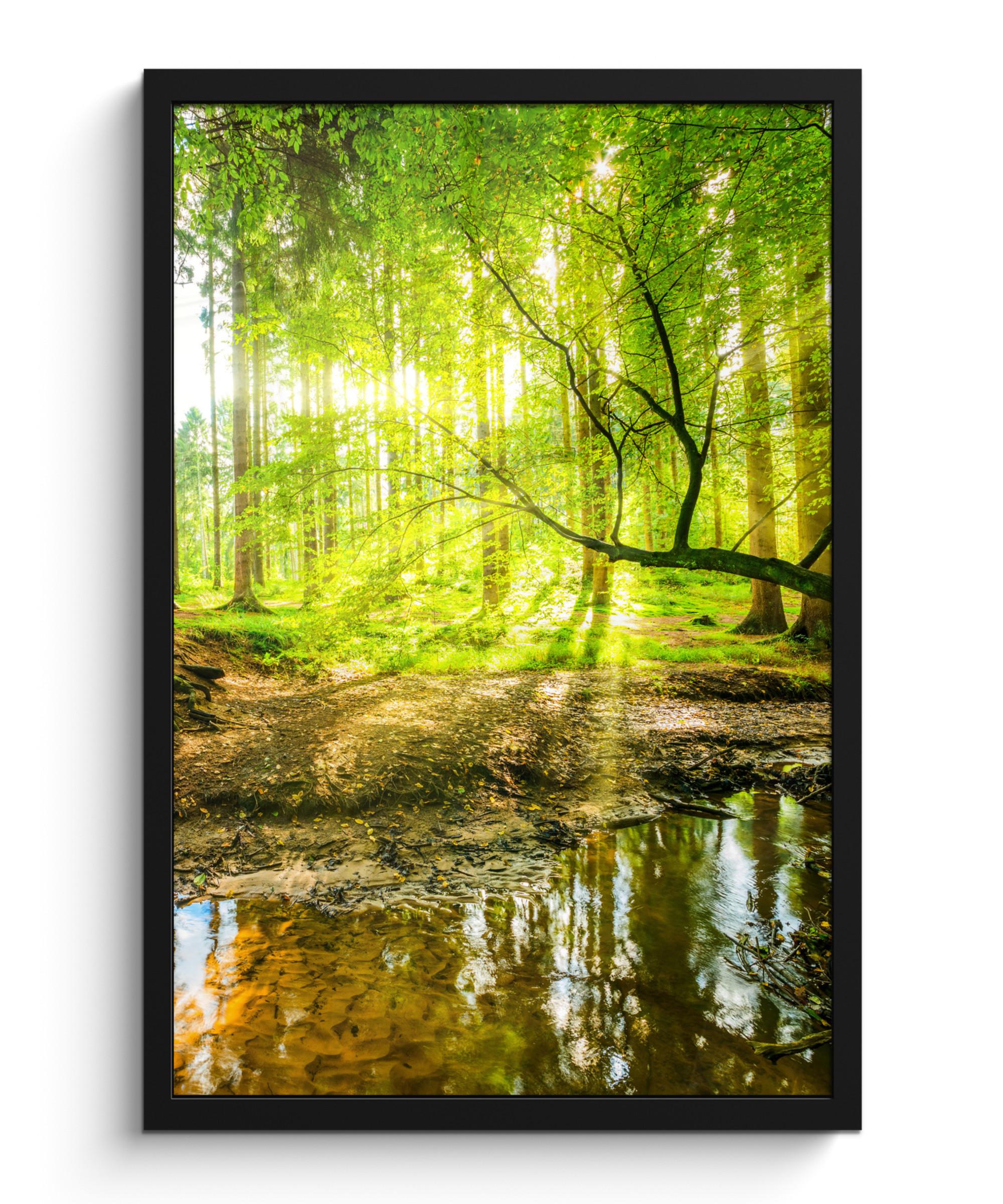 POSTER MIT RAHMENGERAHMTES BILD Wald - Landschaft - Wasser - Bäume - Sonne - Grün - Natur Bilder mit Rahmen 40x60 cm - Grün, Papier (40/60cm) - MuchoWow