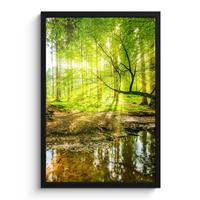 POSTER MIT RAHMENGERAHMTES BILD Wald - Landschaft - Wasser - Bäume - Sonne - Grün - Natur Bilder mit Rahmen 40x60 cm - Grün, Papier (40/60cm) - MuchoWow