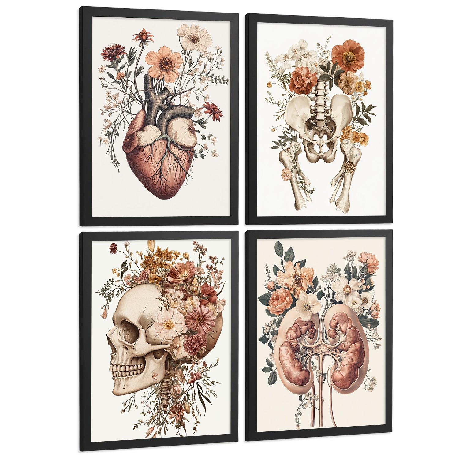 POSTER Set aus 4 Anatomie Drucke und Wandbilder mit Herz Nieren Schädel und Becken Botanischer Stil Wanddekoration Größe Schwarzer Rahmen A4 - Schwarz, Papier (21/29.7/3cm) - Nacnic