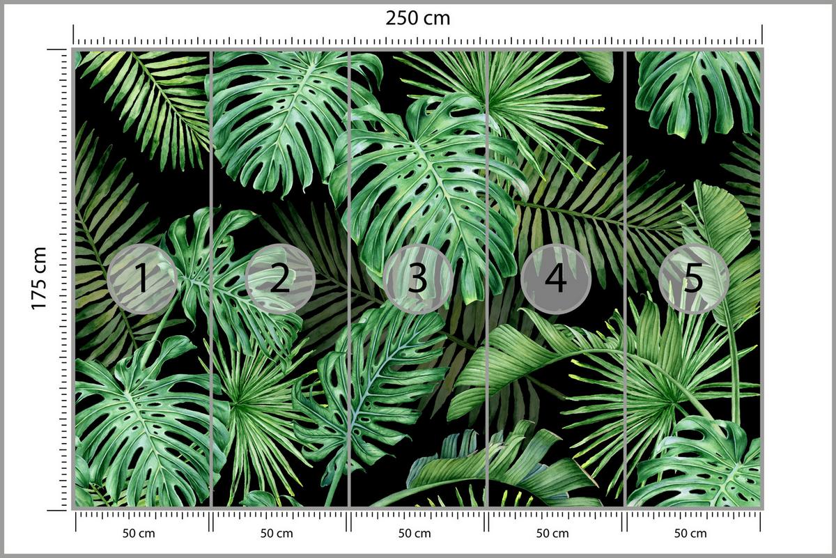 FOTOTAPETE für Schlafzimmer Exotische Grüne Monstera Palmen 250x175 - Schwarz/Grün, Papier (250/175cm) - Muralo