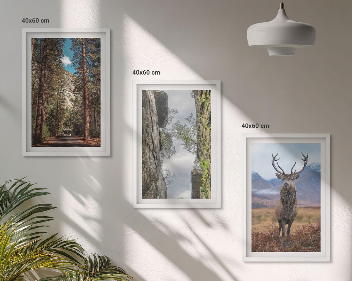 BILDER SET 3er Set - 40x60 cm Weißer Rahmen - Straße Wald Berge Hirsch Natur - Weiß, Kunststoff (40/60cm) - TULUP