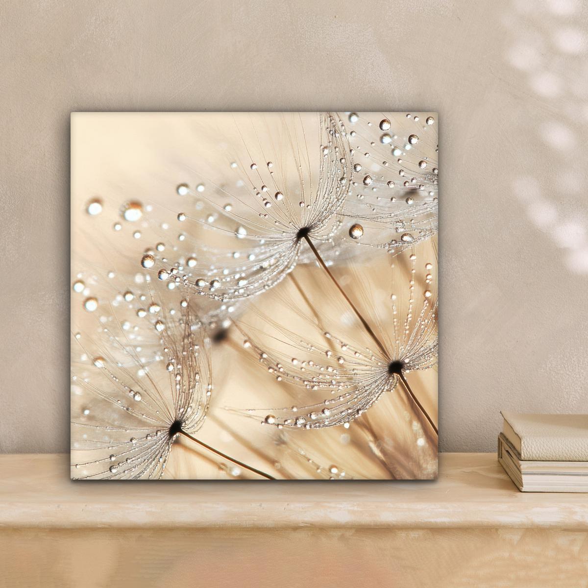 LEINWANDBILD Löwenzahn - Abstrakt - Natur - Beige Deko Wohnzimmer 20x20 cm - Braun, Textil (20/20cm) - MuchoWow