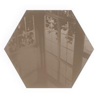 GLASPLATTE für Kamin h40 cm - Braun, Glas (40/40/0.4cm) - TULUP