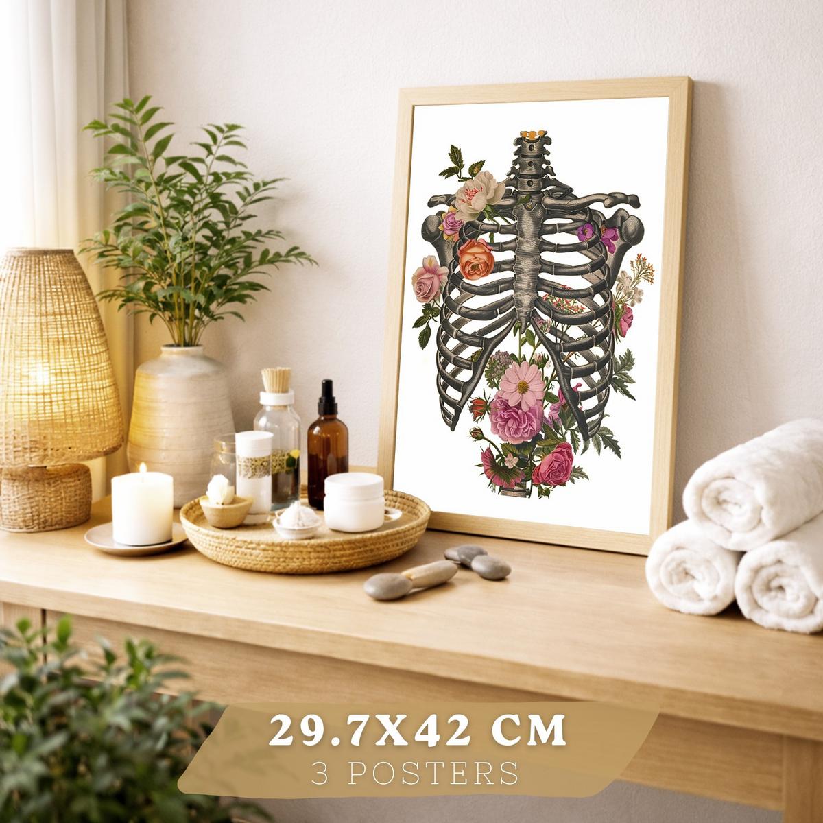 POSTER Set aus 3 Anatomie Mensch Drucke und mit Lungen Luftröhre Bronchien Rippen Wirbelsäule und Schädel Modernes Florales Leichter Holzrahmen A3 - Beige, Papier (29.7/42/3cm) - Nacnic