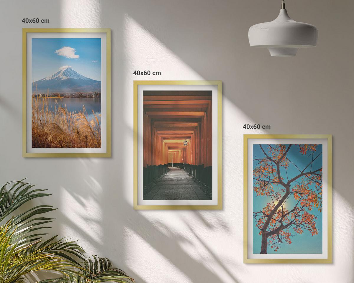 BILDER SET 3er Set - 40x60 cm Goldrahmen - Japanische Naturlandschaften - Goldfarben, Kunststoff (40/60cm) - TULUP