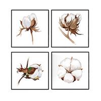 POSTER Set mit 4 Baumwollblumen 20x20cm Rahmenlos - Klar, Papier (20/3cm) - Nacnic