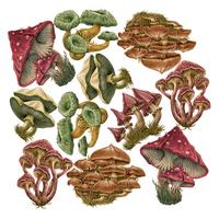 WANDAUFKLEBER 100x48cm - Pilzwiese - Multicolor, Kunststoff (100/48/0.1cm) - Wallfluent