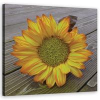 WANDBILD gelbe sonnenblume - Gelb, Textil (30/30cm) - Feeby