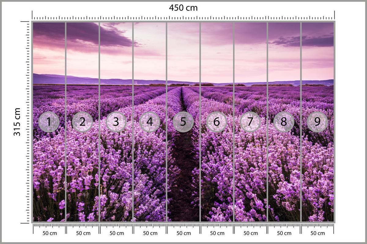 FOTOTAPETE für Schlafzimmer Lila Lavendel Wiese Harmonisch Romantisch 450x315 - Violett/Lila, Papier (450/315cm) - Muralo