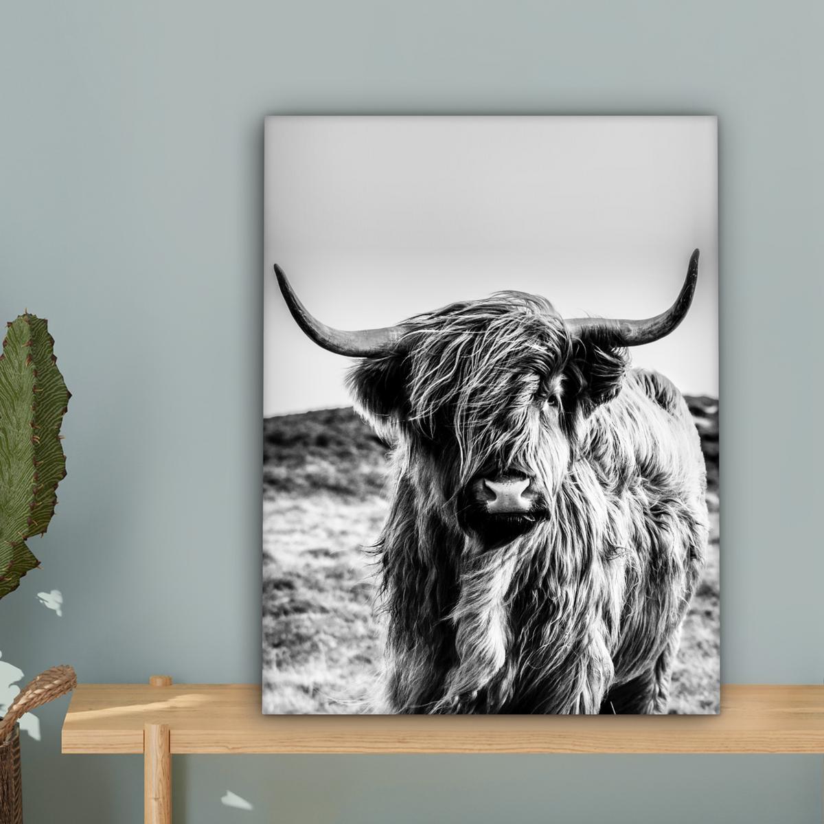 LEINWANDBILD Kuh - Schottischer Hochländer - Schwarz - Weiß - Tier - Natur - Wildtiere Room Decor 30x40 cm - Schwarz, Textil (30/40cm) - MuchoWow