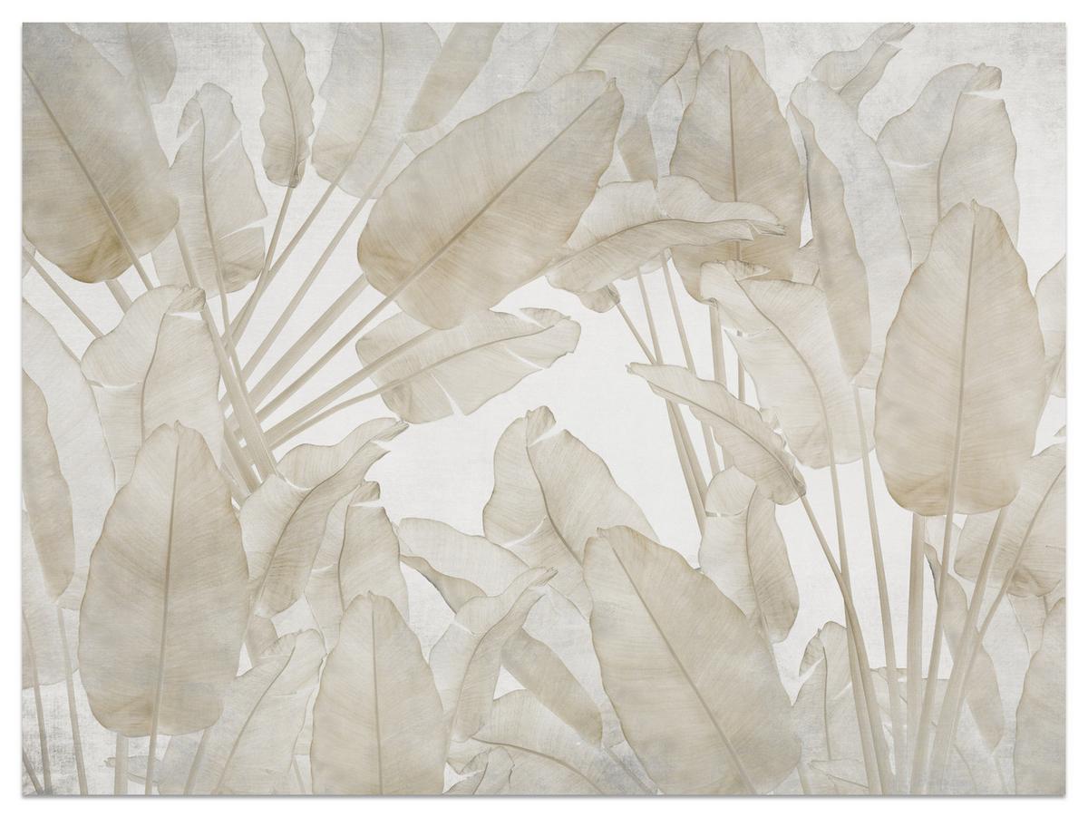 FOTOTAPETE Beige Bananenblätter Tropische Pflanzen 100x70 - Beige/Braun, Papier (100/70cm) - Muralo