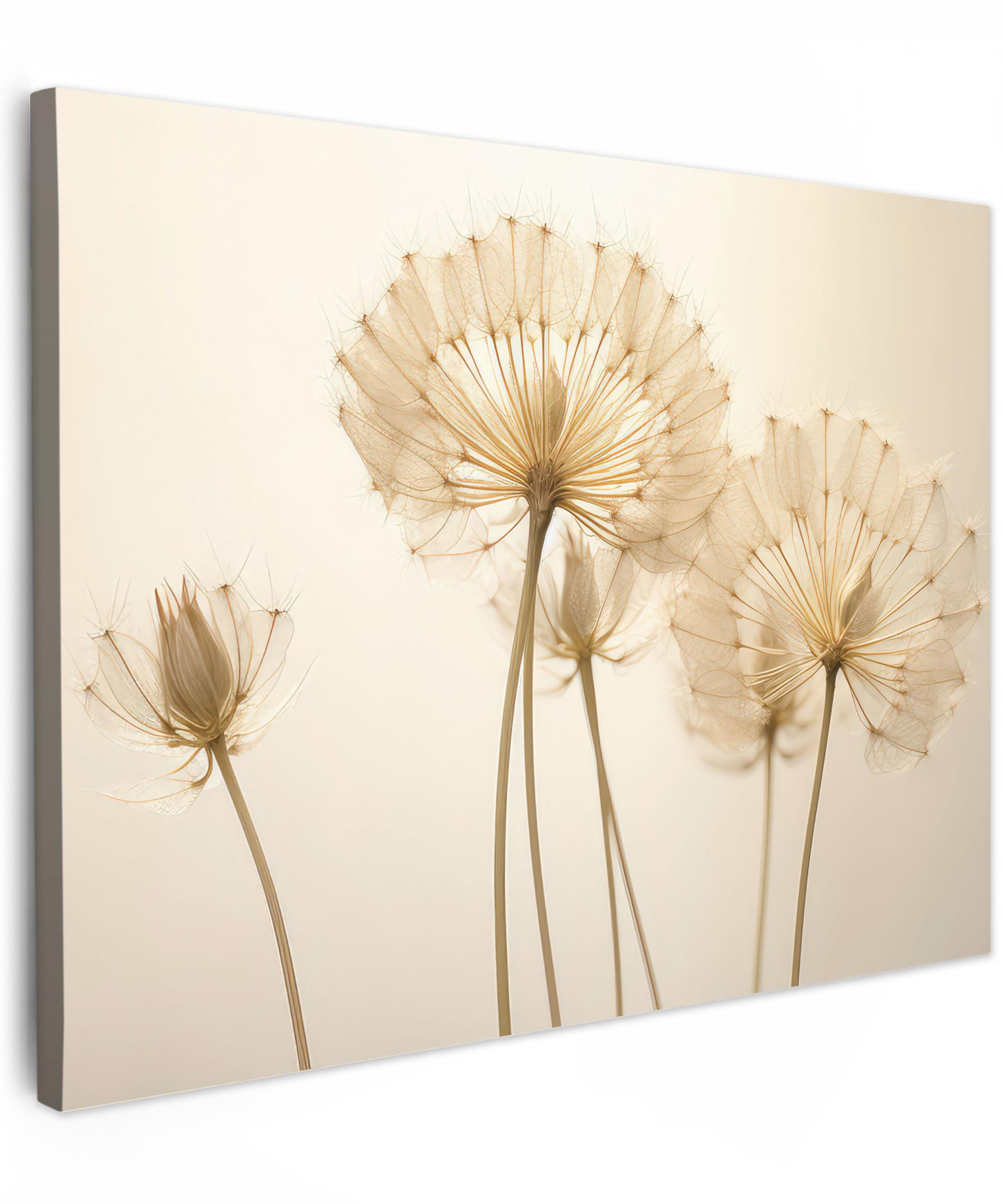 LEINWANDBILD Sonnenlicht - Löwenzahn - Botanisch - Blumen Wandbild 40x30 cm - Creme, Textil (40/30cm) - MuchoWow