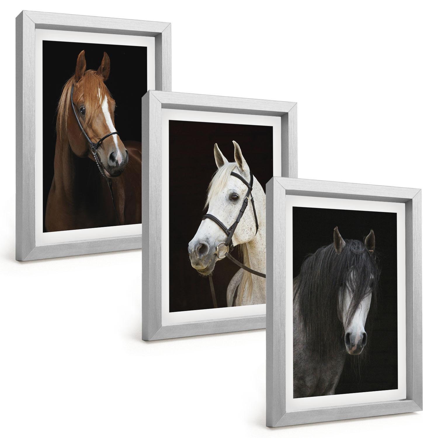BILDER SET 3er Set - 20x30 cm Silberner Rahmen - Porträts von Pferden in verschiedenen Fellfarben - Silberfarben, Kunststoff (20/30cm) - TULUP