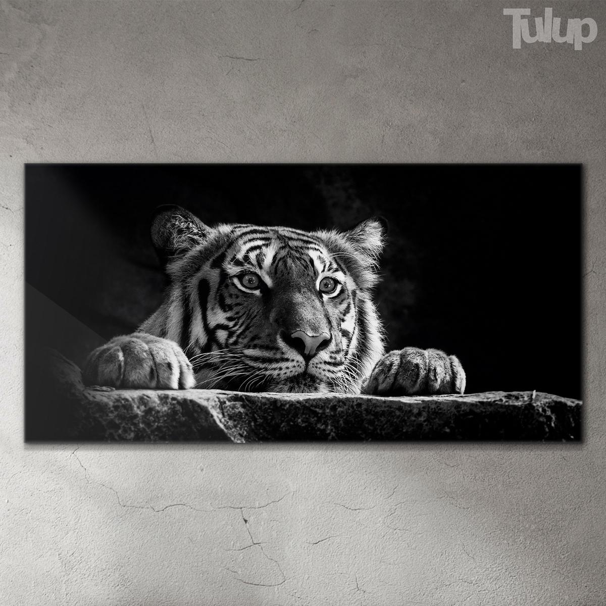 GLASBILD 140x70 cm Wildes Tier - Schwarz, Glas (140/70cm) - TULUP
