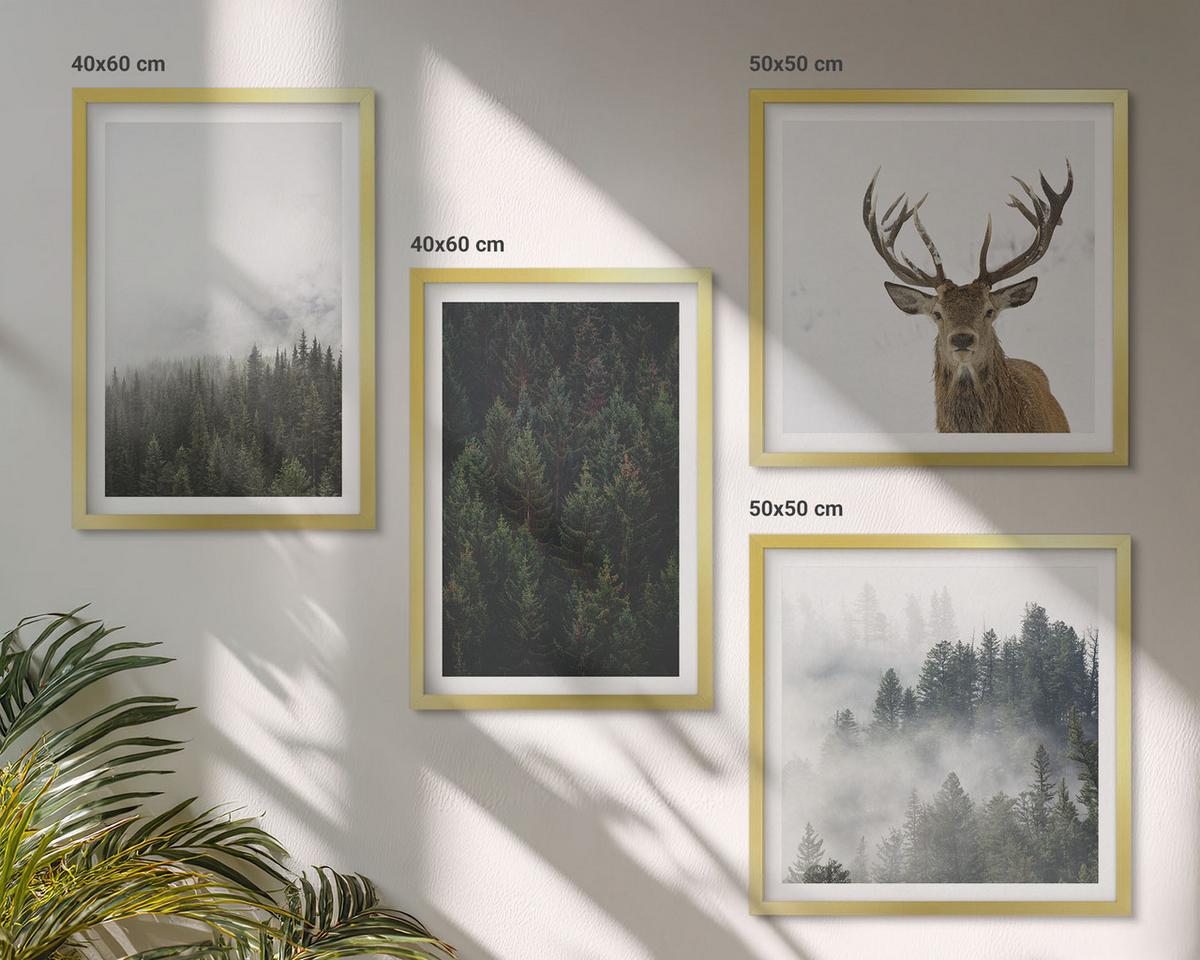 BILDER SET 4er Set - 50x50 cm & 40x60 cm Goldrahmen - Grüne Wälder, neblige Landschaft - Goldfarben, Kunststoff (50/50cm) - TULUP