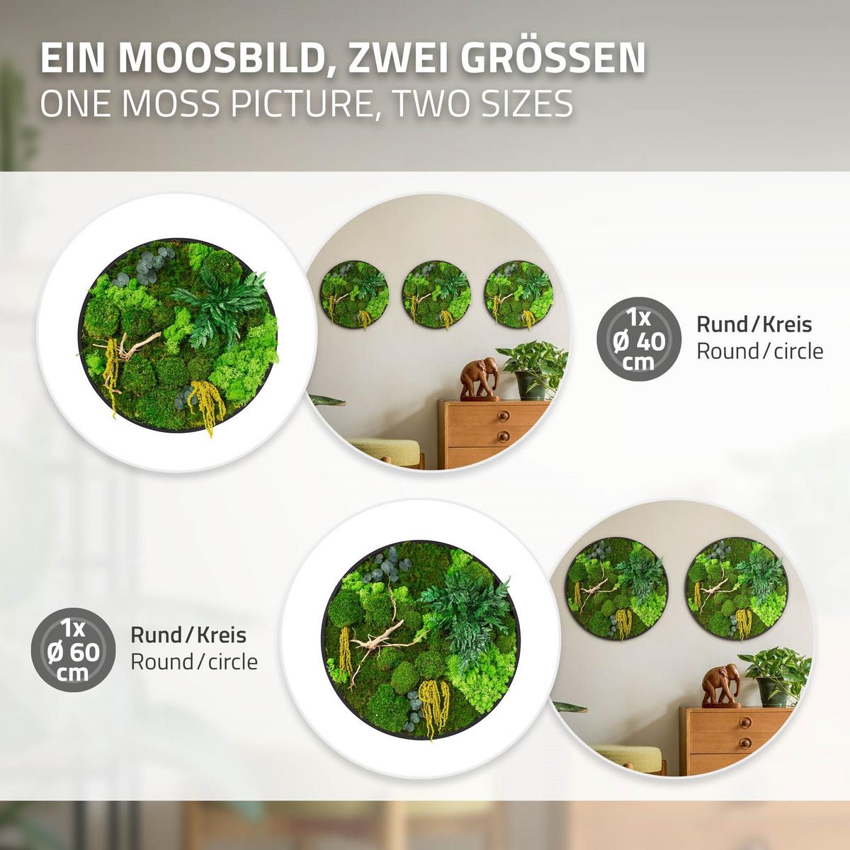MOOSBILD Rund Ø 40 cm Mooswand Indoor mit echtem Kugel-, Island- und Flachmoos-Mix und Ästen Holzrahmen Grün - Gelb/Grün, Naturmaterialien (40/40/3cm) - ECD-Germany