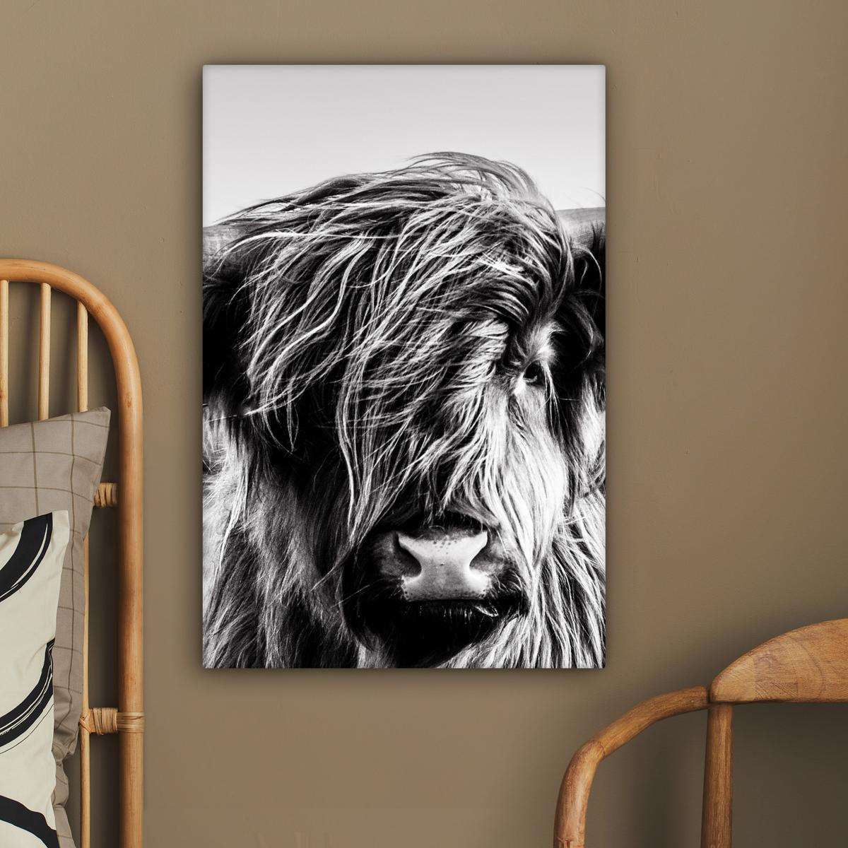 LEINWANDBILD Kuh - Schottischer Hochländer - Schwarz - Weiß - Tier - Natur - Wildtiere Wanddeko 40x60 cm - Schwarz, Textil (40/60cm) - MuchoWow