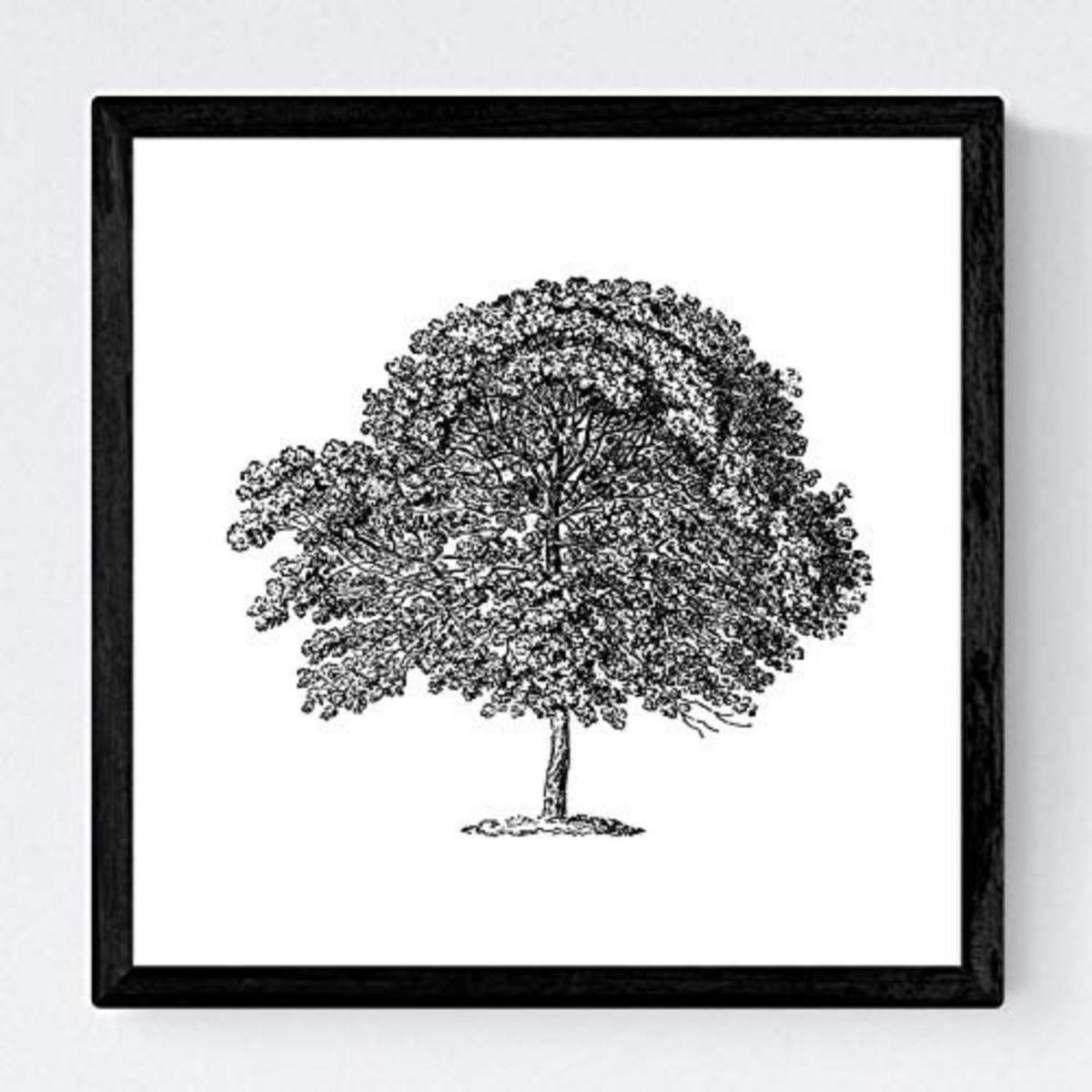 POSTER Set mit 4 Blättern der Baumstamm in halber weiß 20x20cm Schwarzer Rahmen - Schwarz, Papier (20/3cm) - Nacnic