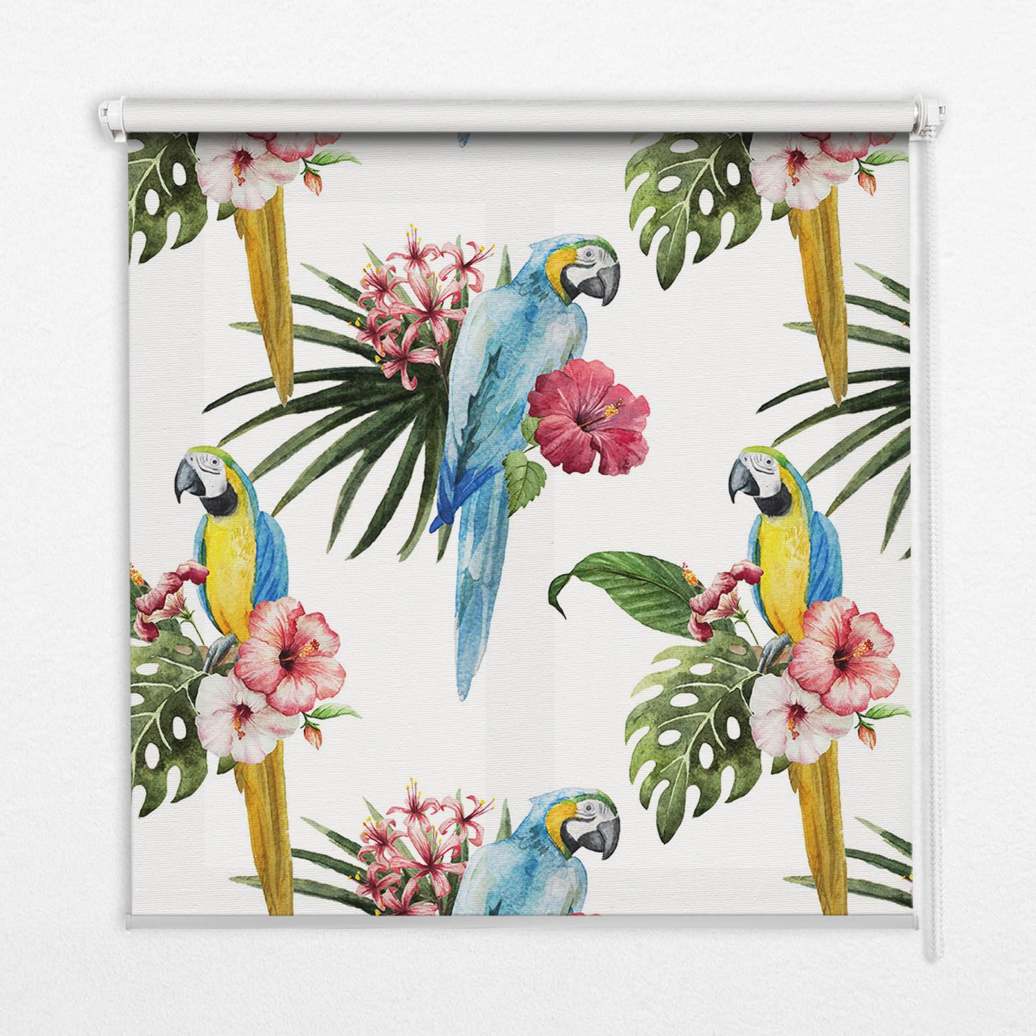 INNENROLLO - Fensterrollo - Rollo - 90x180 cm - Papagei auf Blumen - Blau, Kunststoff (90/180/0.5cm) - TULUP