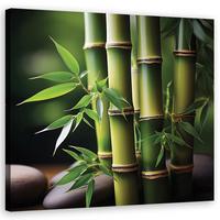 WANDBILD orientalischer zen bambus - Grün, Textil (40/40cm) - Feeby