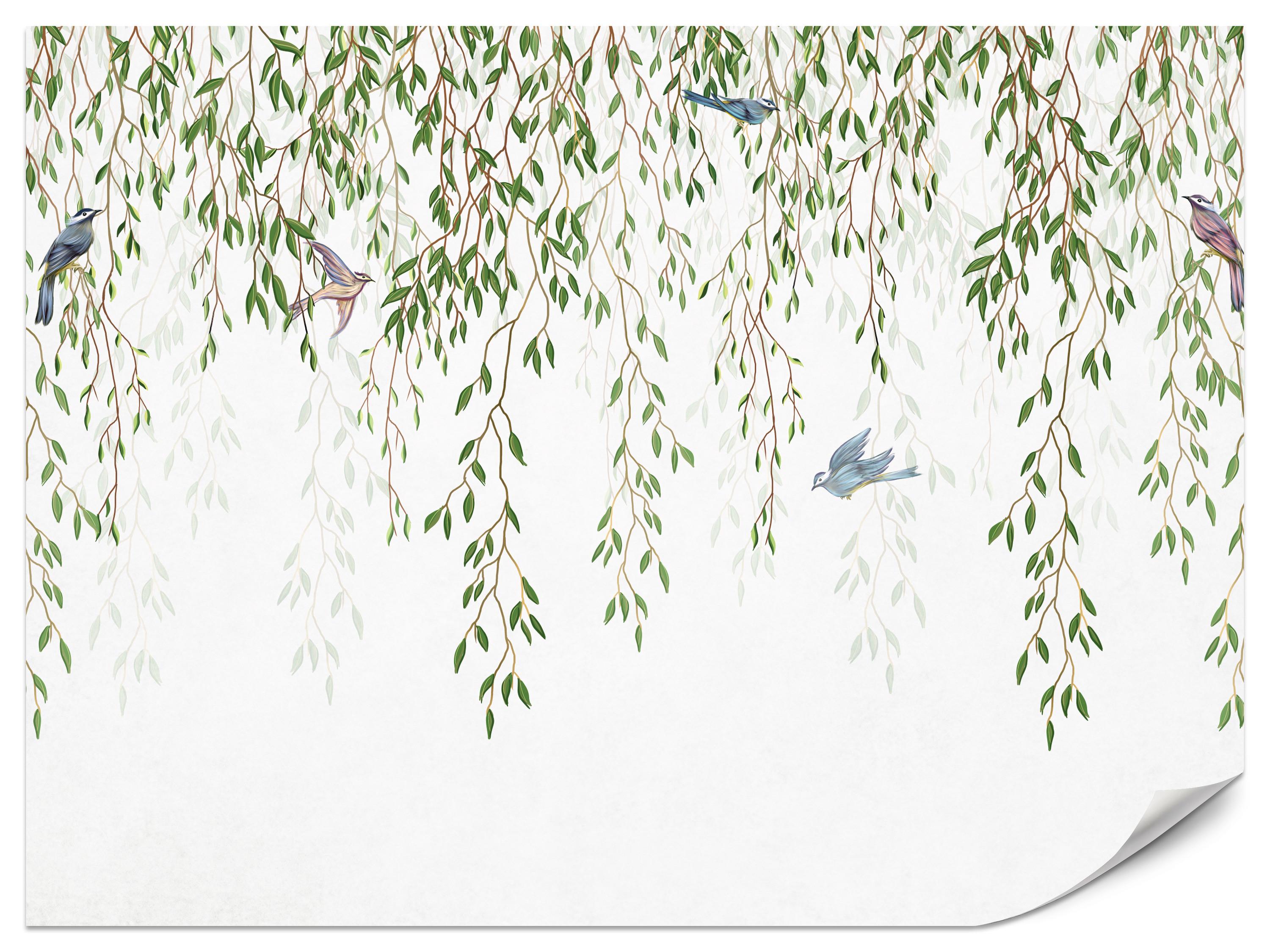 FOTOTAPETE für Schlafzimmer Trauerweide Äste Vögel Frühling Blätter 500x350 - Blau/Beige, Papier (500/350cm) - Muralo