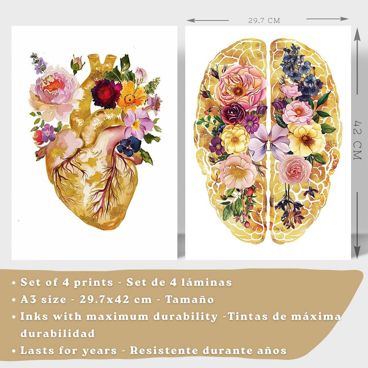 POSTER Set aus 4 Anatomie Mensch Drucke und mit Herz Gehirn Schädel Lungen Luftröhre Bronchien Goldener Floraler Stil Größe Leichter Holzrahmen A3 - Beige, Papier (29.7/42/3cm) - Nacnic