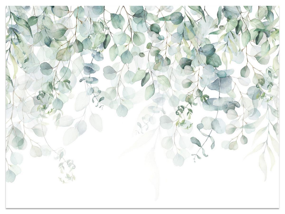 FOTOTAPETE Aquarell Eukalyptusblätter Pflanzen Natur 250x175 - Weiß/Grün, Papier (250/175cm) - Muralo