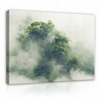 LEINWANDBILDER Wald im Nebel Natur 100x70 - Multicolor, Holzwerkstoff (100/70cm) - Wallarena