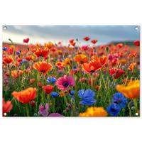 GARTENPOSTER Blumen - Mohnblumen - Farbenfroh - Natur Gartendeko 90x60 cm - Dunkelorange, Kunststoff (90/60/0.2cm) - OnlyWow