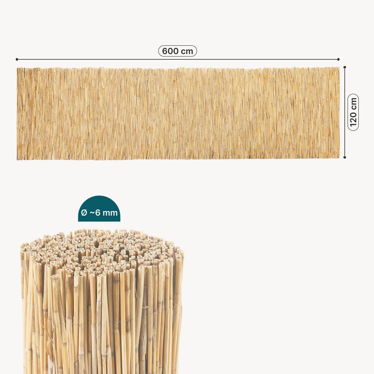 SCHILFZAUN Abbateggio - Naturfarben, Naturmaterialen (120/0.6cm) - casa.pro
