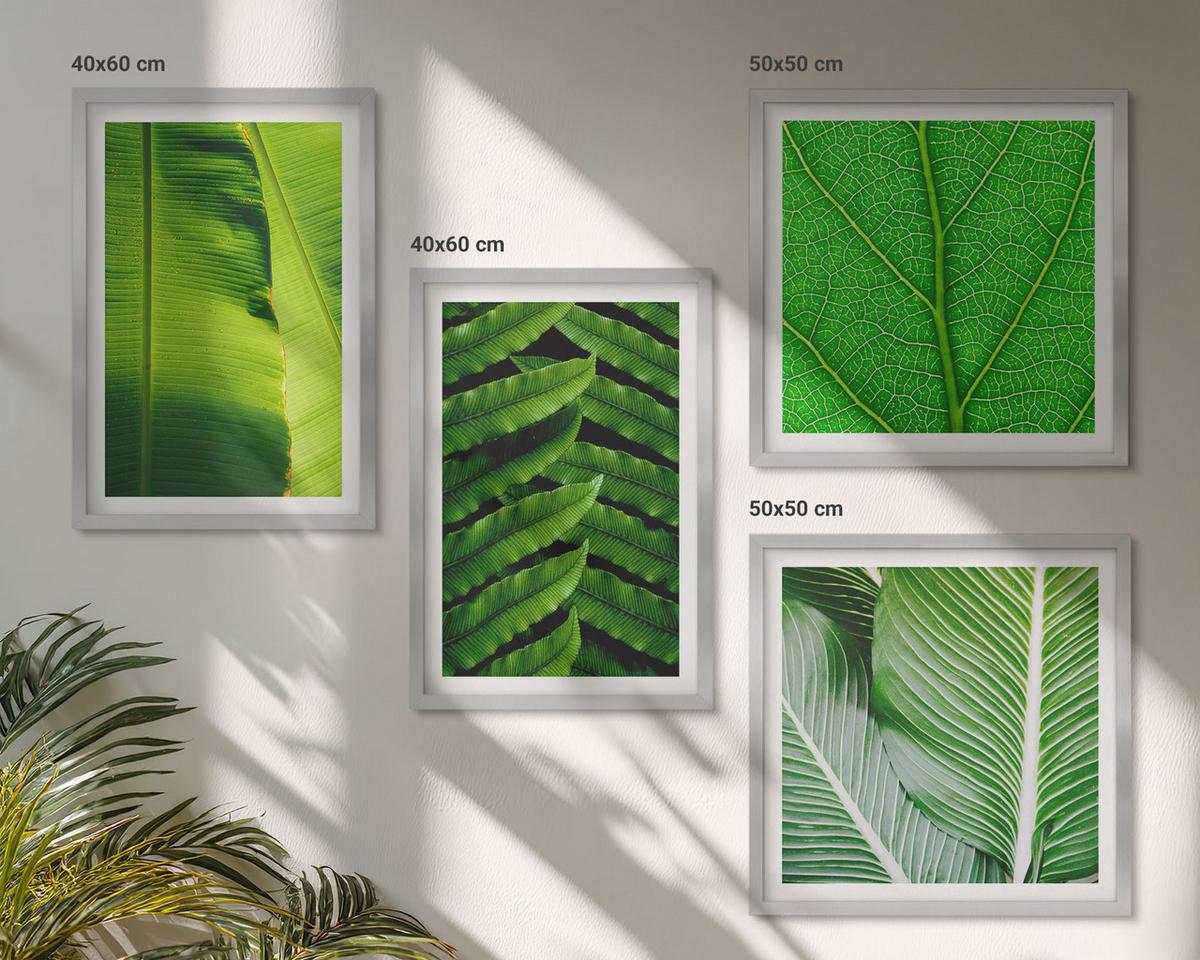 BILDER SET 4er Set - 50x50 cm & 40x60 cm Silberner Rahmen - Nahaufnahme von tropischen Blättern - Silberfarben, Kunststoff (50/50cm) - TULUP