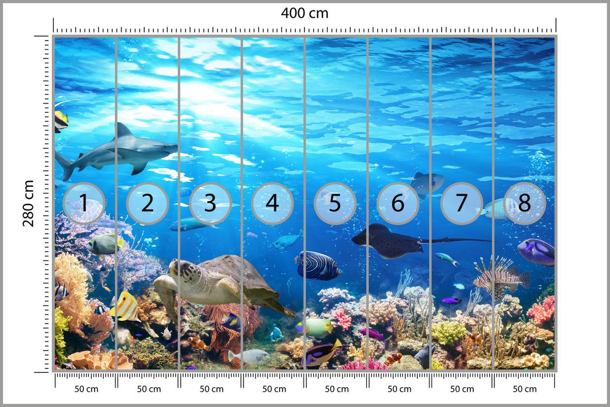 FOTOTAPETE für Badezimmer Korallenriff Schildkröte Hai Fisch 400x280 - Blau/Gelb, Papier (400/280cm) - Muralo