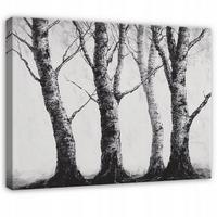 BILDER Wald Schwarz und Weiß Natur Bäume 120x80 - Multicolor, Holzwerkstoff (120/80cm) - Wallarena