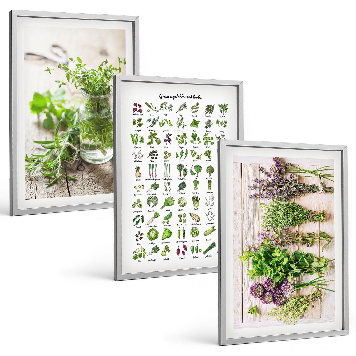 BILDER SET 3er Set - 40x60 cm Silberner Rahmen - Getrocknete Kräuter für die Küche - Silberfarben, Kunststoff (40/60cm) - TULUP