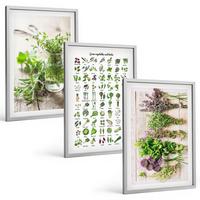 BILDER SET 3er Set - 40x60 cm Silberner Rahmen - Getrocknete Kräuter für die Küche - Silberfarben, Kunststoff (40/60cm) - TULUP