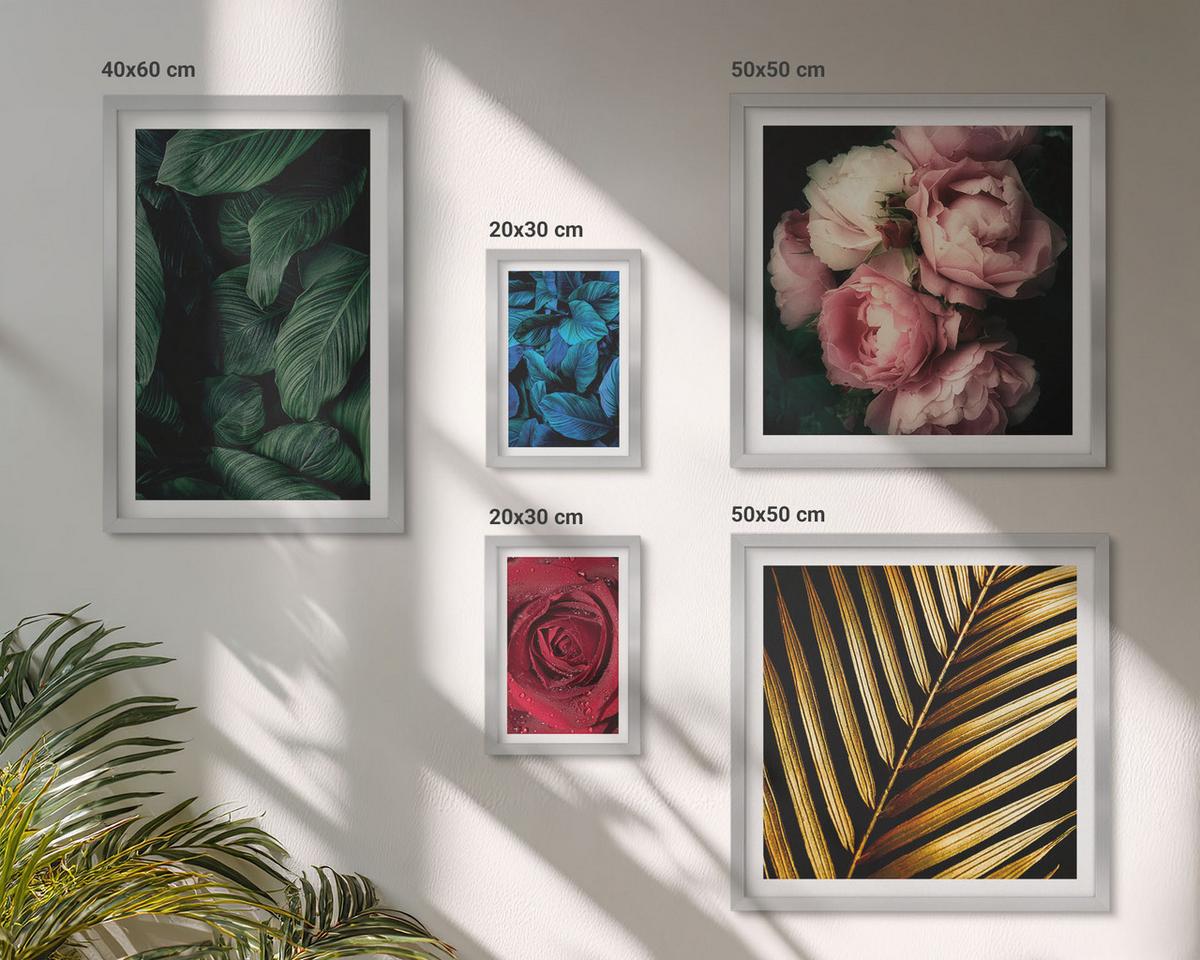 BILDER SET 5er Set - 50x50 cm & 20x30 cm & 40x60 cm Silberner Rahmen - Abstrakte schwarze Muster - Silberfarben, Kunststoff (40/60cm) - TULUP