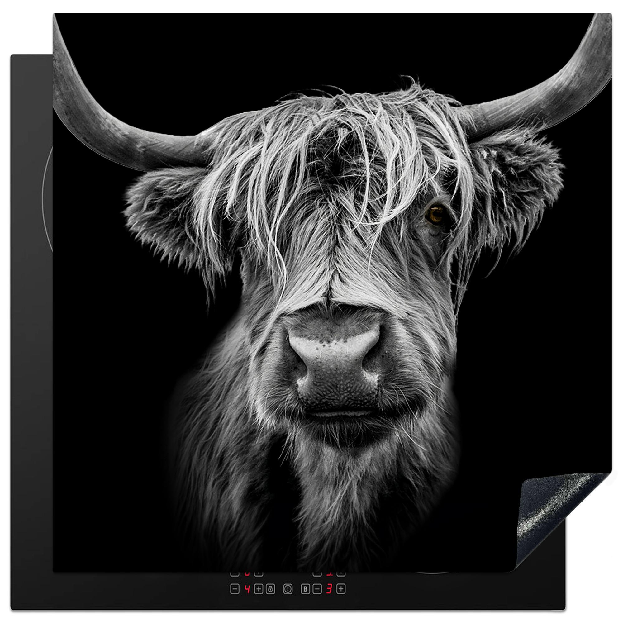 HERDABDECKPLATTE Schottischer Highlander - Hörner - Schwarz - Weiß - Kuh - Wild - Tiere Induktionsmatte 78x78 cm - Schwarz, Kunststoff (78/78/0.2cm) - MuchoWow