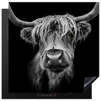 HERDABDECKPLATTE Schottischer Highlander - Hörner - Schwarz - Weiß - Kuh - Wild - Tiere Induktionsmatte 78x78 cm - Schwarz, Kunststoff (78/78/0.2cm) - MuchoWow