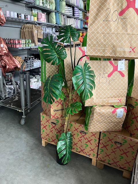 Überraschungsbox