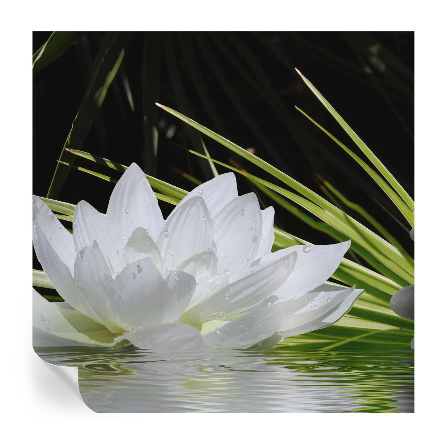 FOTOTAPETE 250x250 cm - Lilienmeditation - Weiß, Textil (250/250cm) - Wallfluent