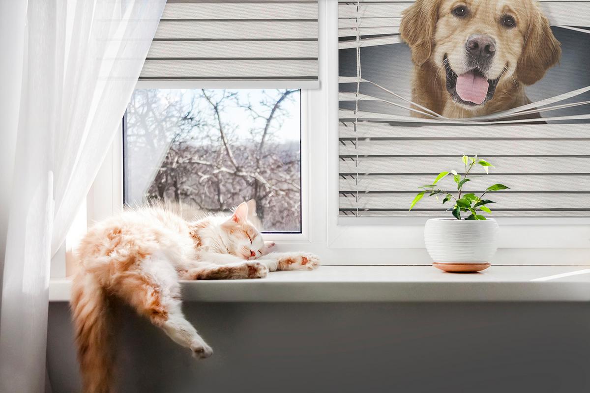 INNENROLLO - Fensterrollo - Rollo - 100x140 cm - Goldener Hund - Grau, Kunststoff (100/140/0.5cm) - TULUP