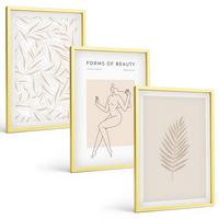 BILDER SET 3er Set - 40x60 cm Goldrahmen - Minimalistische botanische Motive - Goldfarben, Kunststoff (40/60cm) - TULUP