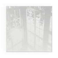 GLASPLATTE für Kamin 50x50 cm - Grau, Glas (50/50/0.4cm) - TULUP